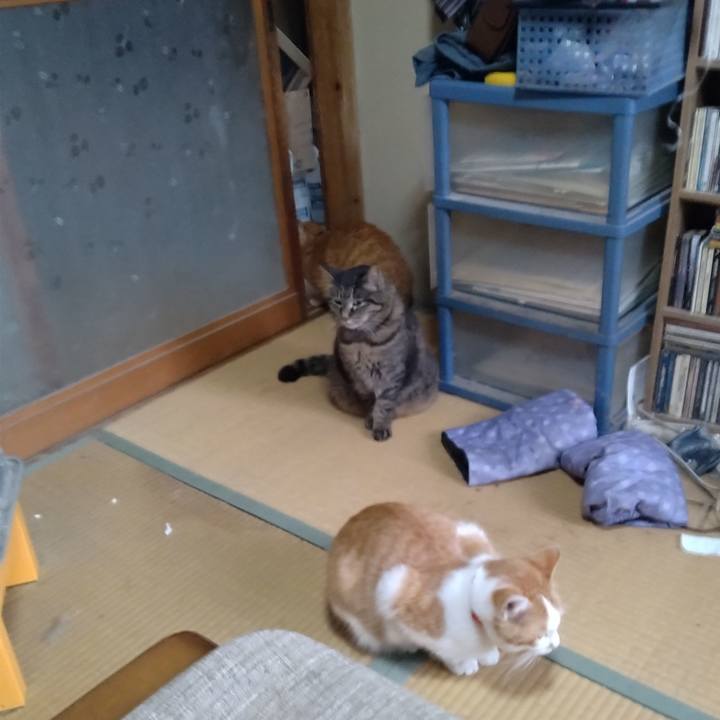 Edd71b72 623e 491d 849b b69211049518 1742077091917