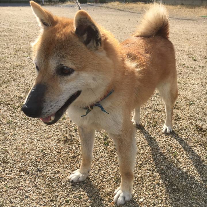 Edd73ef7 5d95 497b b53f 40c063b94c85 1573108383636