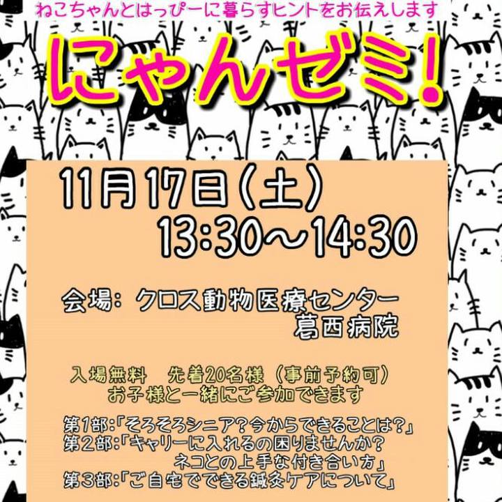 Edd76346 d71b 431f ad58 84df5b236273 1542447719208