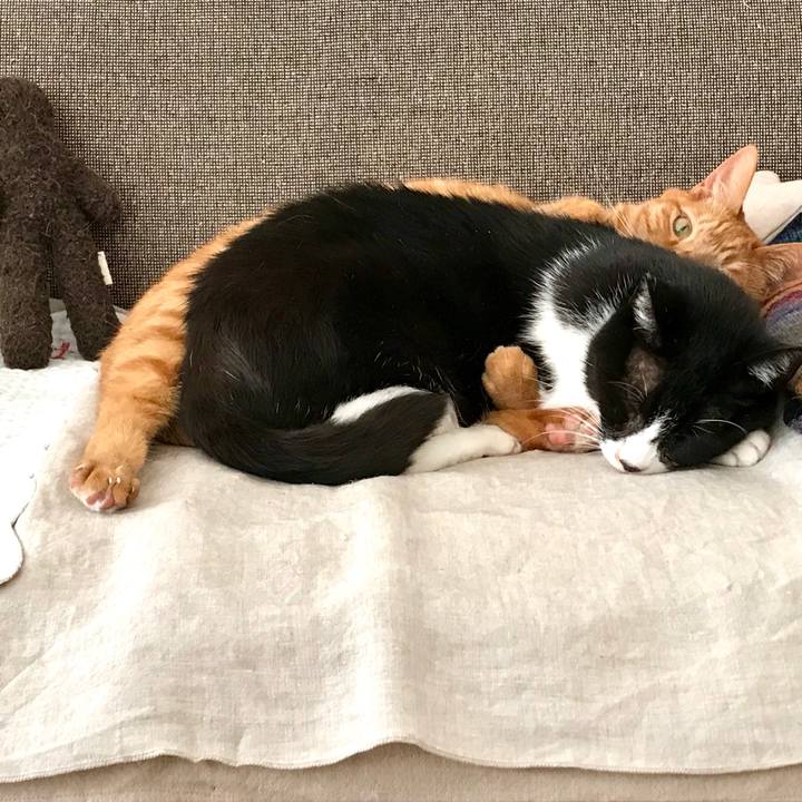 Edd79a40 658a 43a1 9f4d 899c560b177d 1522127973459