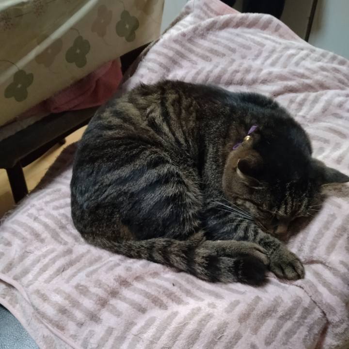 Edd7c8ee f561 4105 a38f bbb03f210718 1734737977876