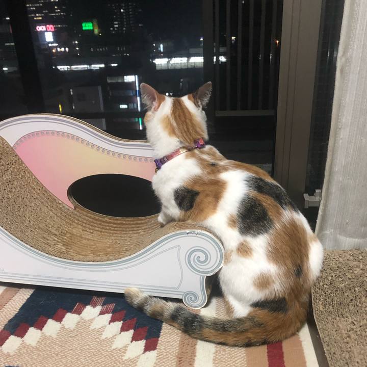 Edd818fb 333c 4d8c 8ac3 3accb4a19b13 1601896620502