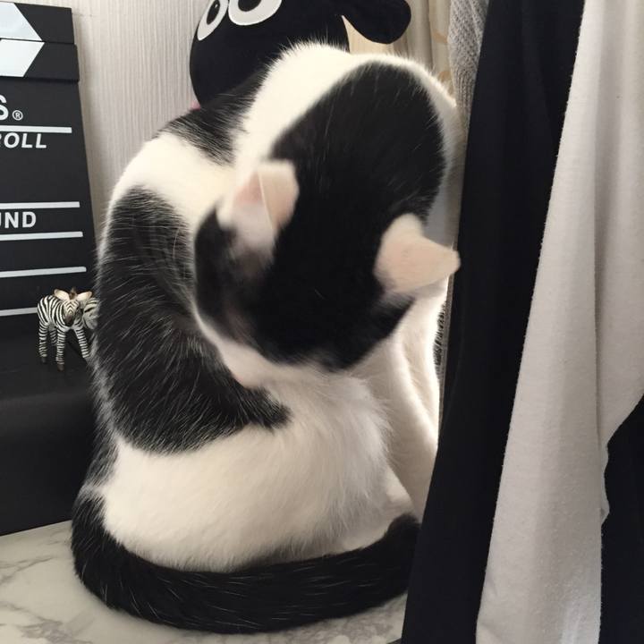 Edd82f80 33c2 4496 b96d 06484cc343f1 1520652540045