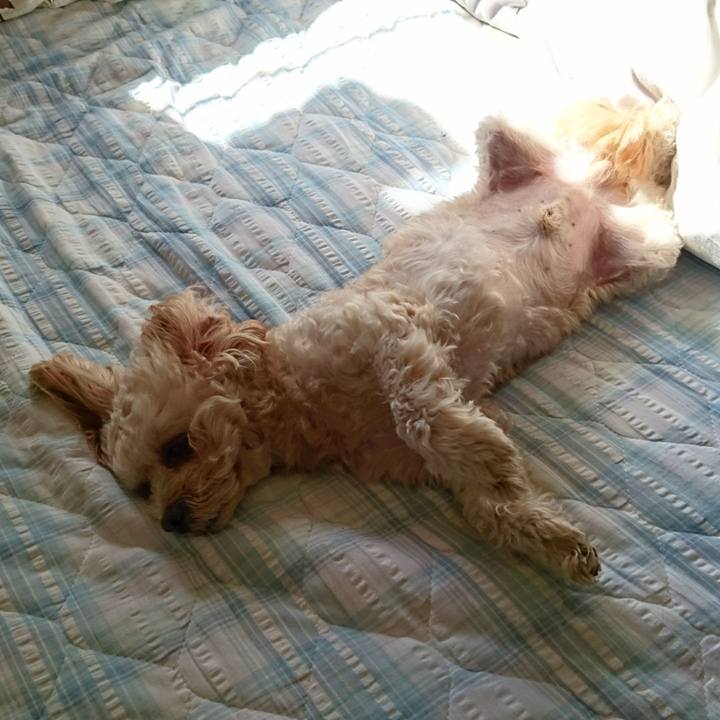 Edd87352 de34 471d b326 d58e9b76073d 1542506310420