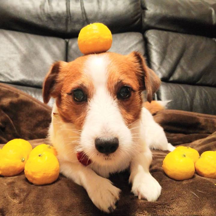 Edd878fd 91e5 4c7c a4e3 06f94f42bf2c 1545470135481