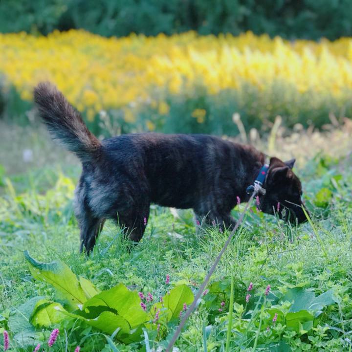 Edd8a1a1 2be5 4385 9bbe ce187cb2b3eb 1508295922510