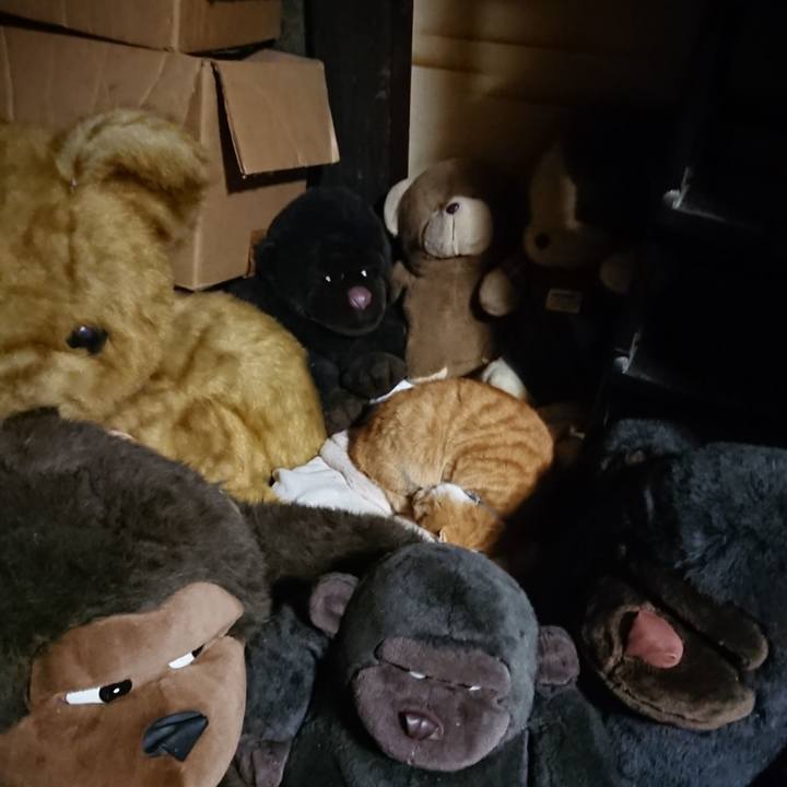 Edd8e92a 0b26 4ccd 8d68 c01f4fe985aa 1605006709712