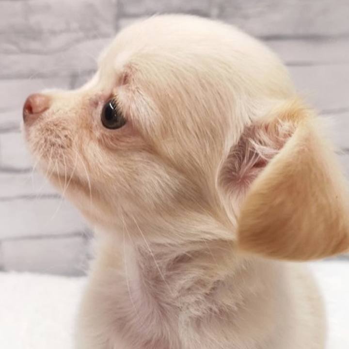 Edd91580 9f40 4638 9bfc 2548d4112537 1628682867143