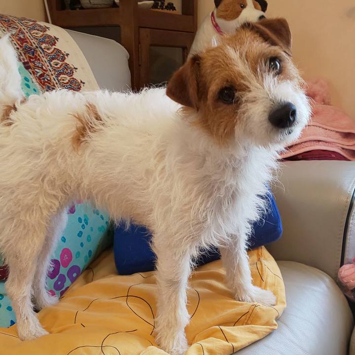 Edd936f2 2d02 4ad9 b99a 242f5e04d645 1559179585041