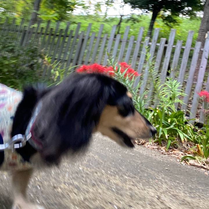 Edd94cc3 c8bc 441d a7f3 90bad4d6ea80 1759106949029