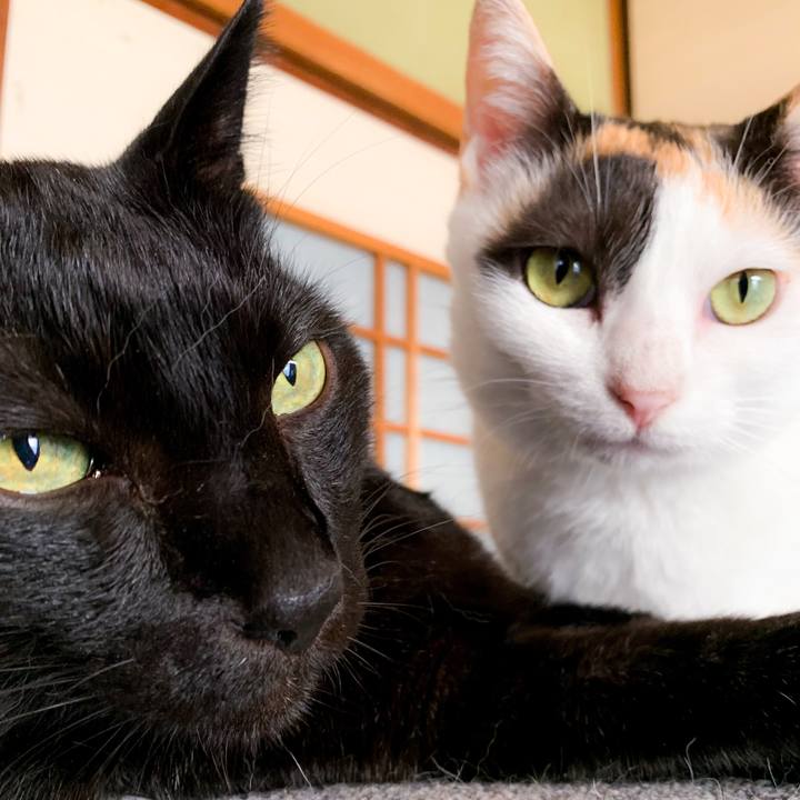 Edd95d31 e025 4757 a70a de6efa3427e4 1566607716691