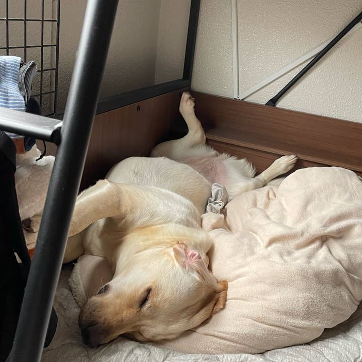 Edd9e8d7 d161 4aa4 93cd 18dd09b3fdc4 1656078795885