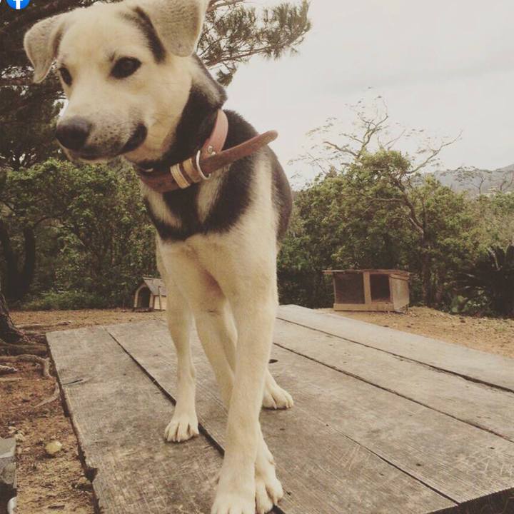 Edd9fa27 3628 4516 9bfb 31c28250502e 1611401437761