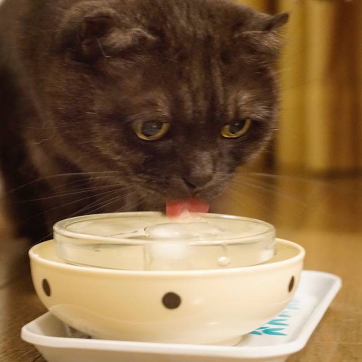 Edd9fc3a 280f 4cb1 9ba2 f6c6d7fc0153 1562856358253