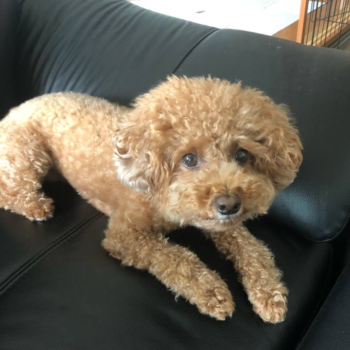 Edda0e48 93e1 4546 badd d6747564b378 1595836677965