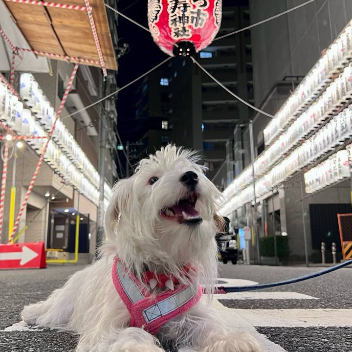 Edda210c 08d8 48e5 94de 6b731ae16bac 1729135569077