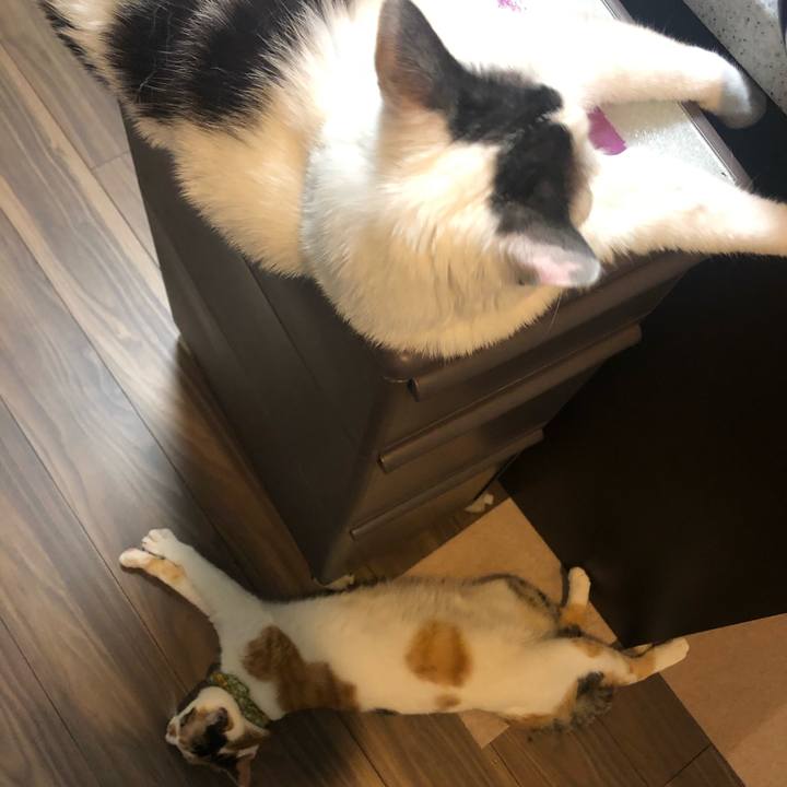 Edda3631 8bbd 4c28 948e f1078815b5a2 1592739806158