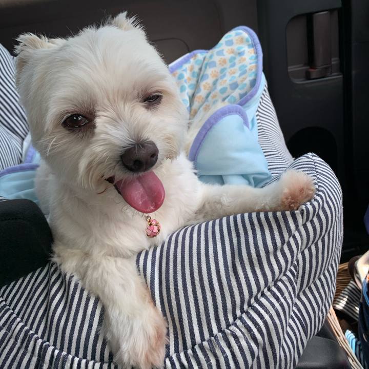 Edda6990 0bce 4bf3 adac 44909d27642b 1627210910798