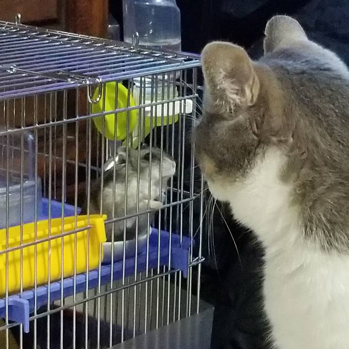 Eddab305 876e 43c3 9564 a120524b4cd6 1522159249979