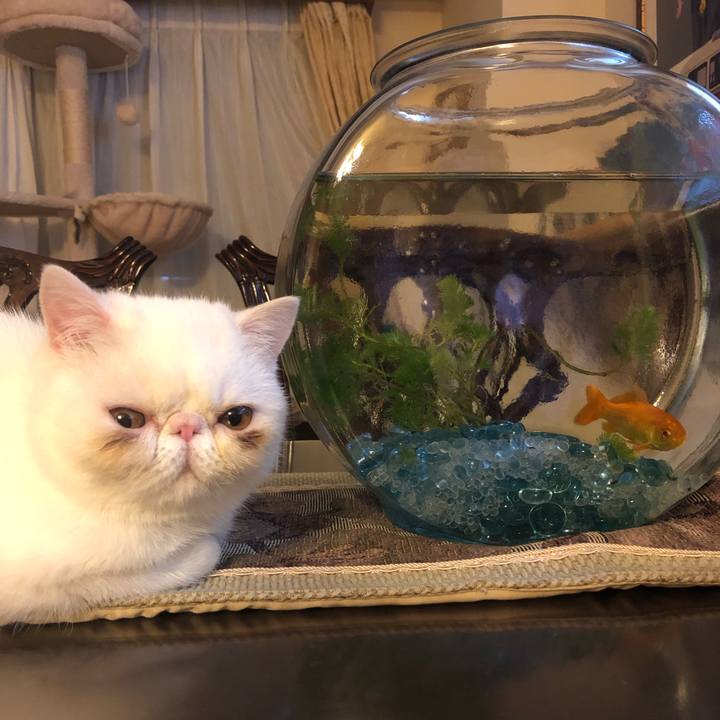 Eddac129 372a 4032 81fc cef8460f7eda 1554208889323