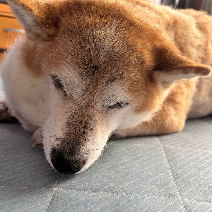 Eddad116 40ae 4a04 bb6a 3bd0f9712432 1759371456634