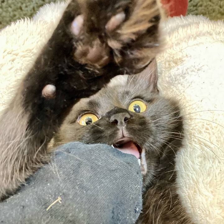 Eddadce7 7219 42e0 9508 ce33bcacadc8 1709080779331