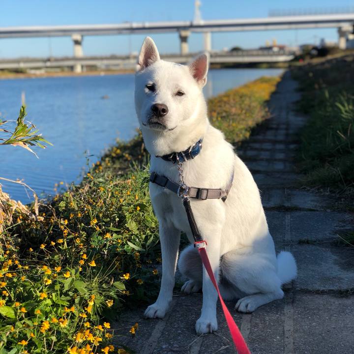 Eddaf331 b910 47fe 8034 391ae8203228 1543018692002