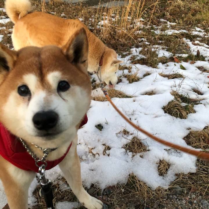 Eddb6361 46f9 4a95 b05d e228bd12af4f 1580682962368