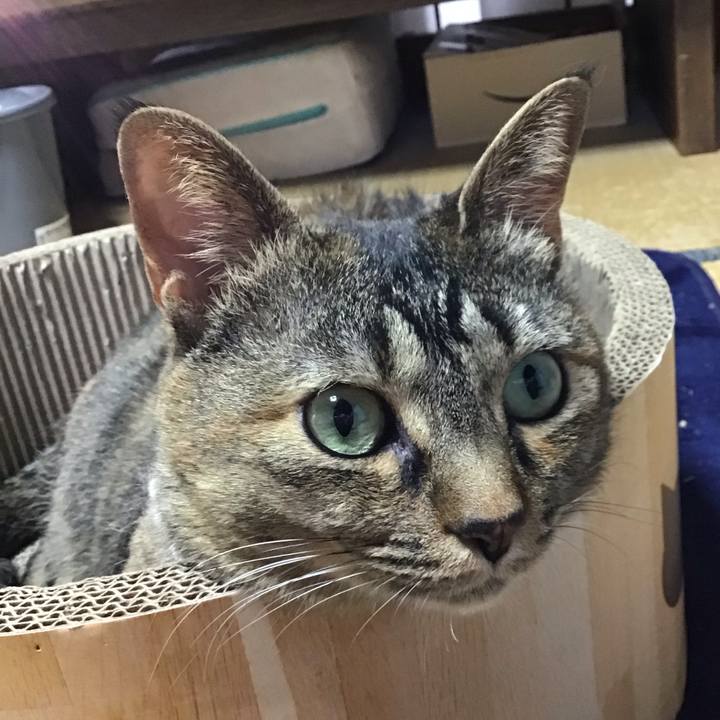 Eddb860e 6f7b 49a5 9756 368c4ed79864 1716538407251