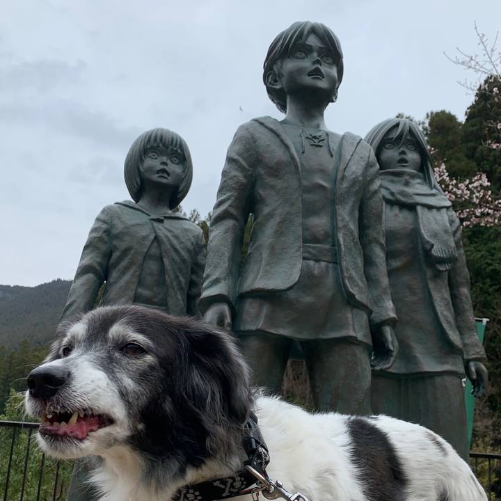 Eddbac8c b0b1 429a b69c 50288d319b28 1615347569018