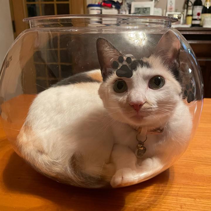 Eddbb00a 60d0 4408 baa5 8609f942e99d 1732180427837