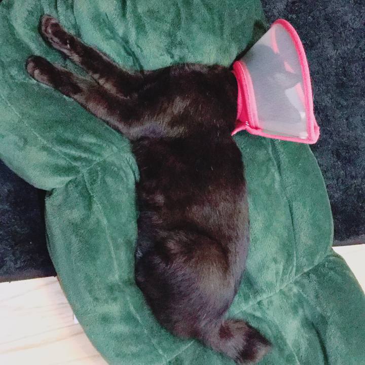 Eddbf1cc 1be8 4340 99de 712a70e60eee 1512377243241