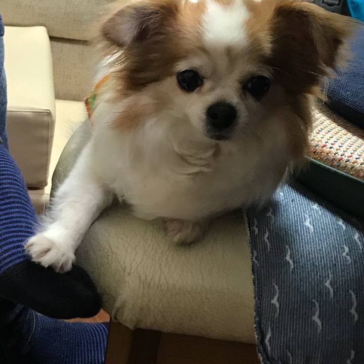 Eddc42ae 21c7 4b2c ade1 d40a8c390157 1562403637633