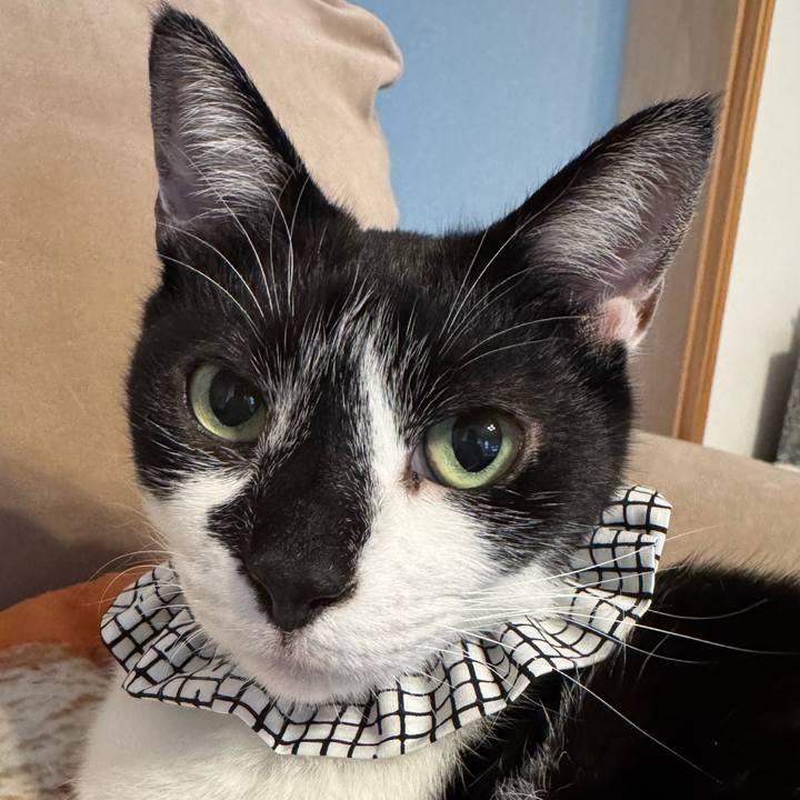 Eddc45de 203f 4296 b43e 2e681971e172 1771822474900