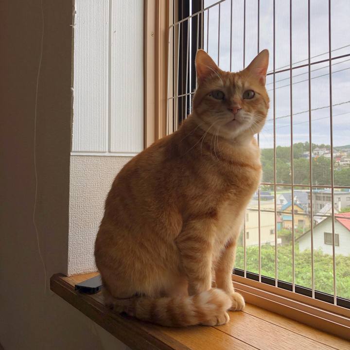 Eddc63b6 f84f 45e0 b5e2 1e21ce022aa3 1563057454361