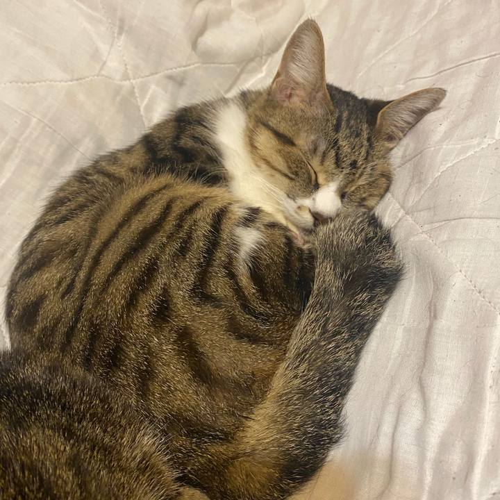 Eddcade4 596b 4092 ac9a dcbe6e779929 1604301467802