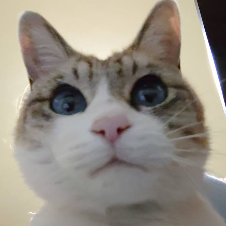 Eddcd946 e8d4 4007 930a f016538c7ed7 1644846334503