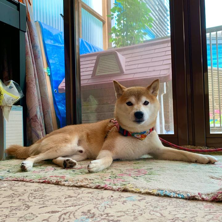 Eddce7bf 8c65 41a2 908f cf6a3b64c276 1627037607403