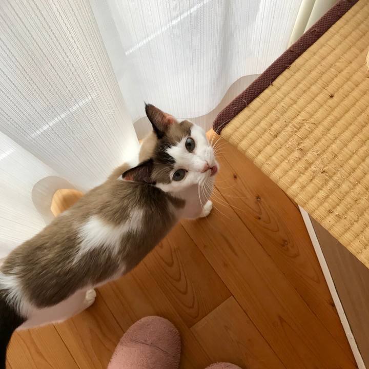 Eddcf52a 326b 4177 894d 4305e4a242ec 1569753671735