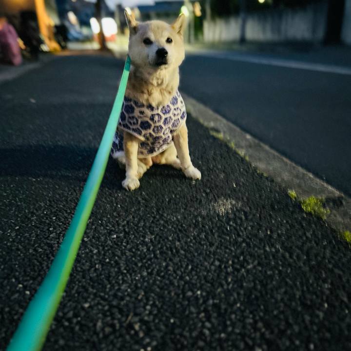 Eddd1280 6631 4934 8039 1806739823bb 1746094500010