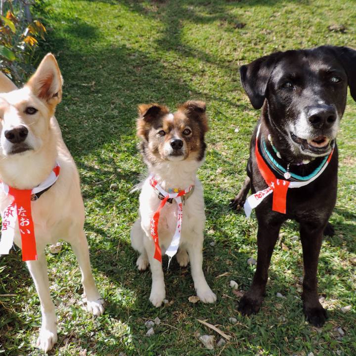 Eddd2776 d557 49f4 9221 75214528eadd 1538802144334