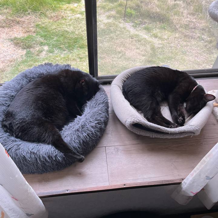 Eddd63aa 4710 4235 a936 e2e89d8eb53d 1764126463857