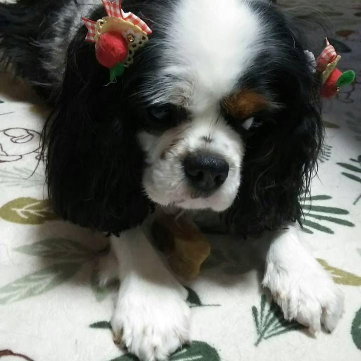 Eddd64dd 51f0 4ea7 9375 85898a1a7df8 1528470775085