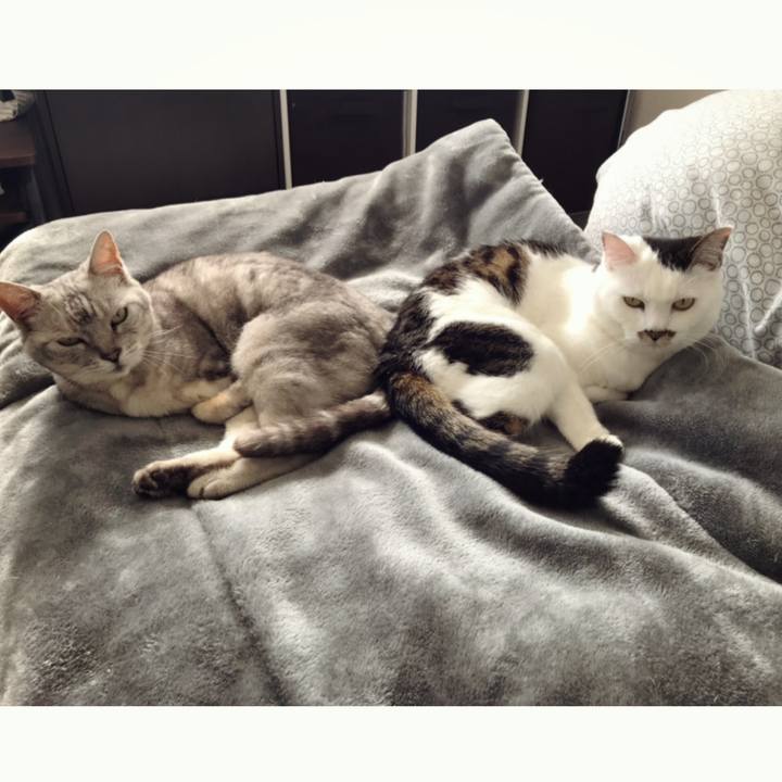 Eddd68c2 7296 4436 8be1 d9506d58e6d7 1619241290374