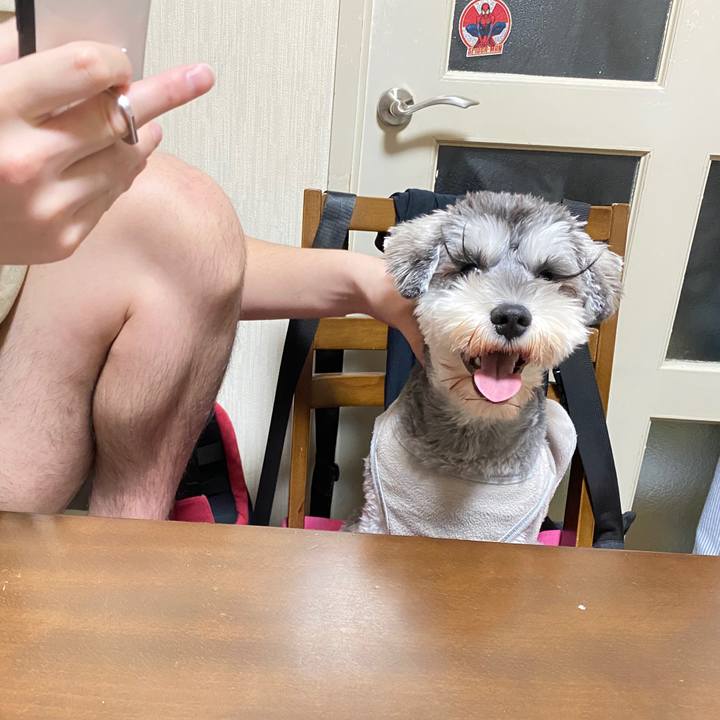 Eddd82c1 e23d 4c04 82eb d1686374762c 1581603579051