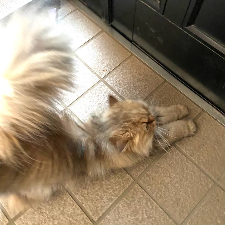 Eddd85c7 21aa 4e92 86e0 9fb230198169 1590896110371