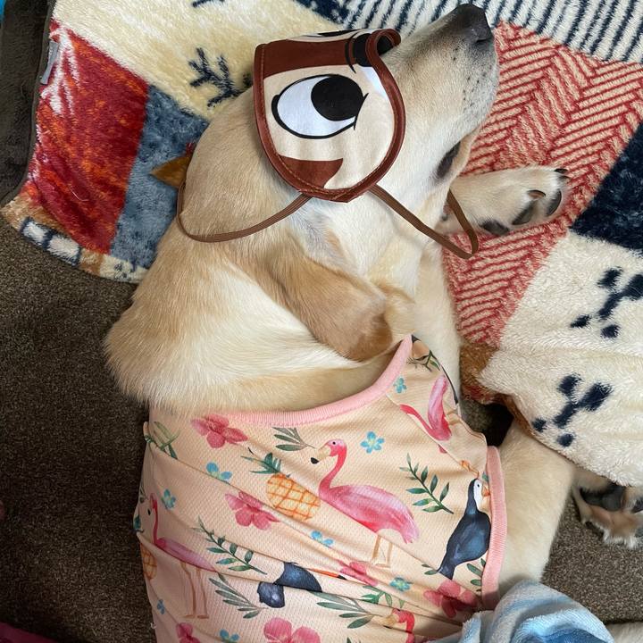 Edddb04a 1b53 45a1 90ee 1751705cae67 1622697954064