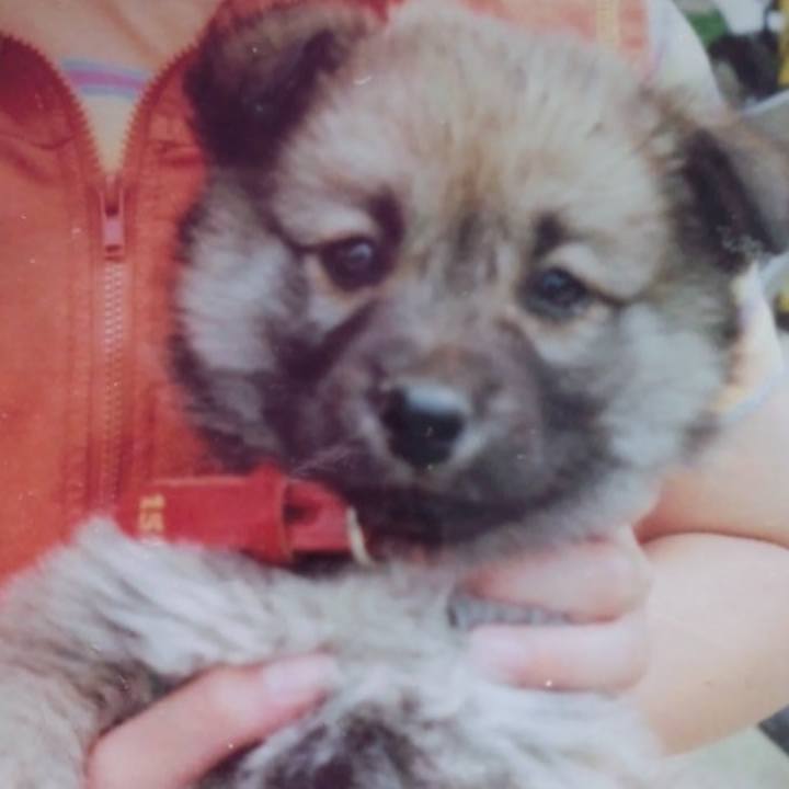 Edde19a4 44e0 4b4b 827d 34ecd481a16e 1563118298110