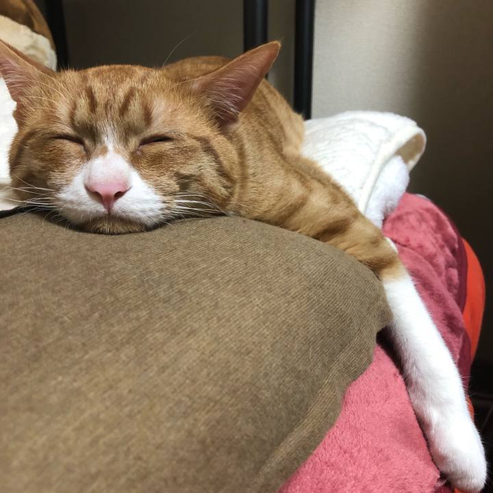 Edde1b79 6148 4fc9 bc7f f5df8d3b855b 1554374357801