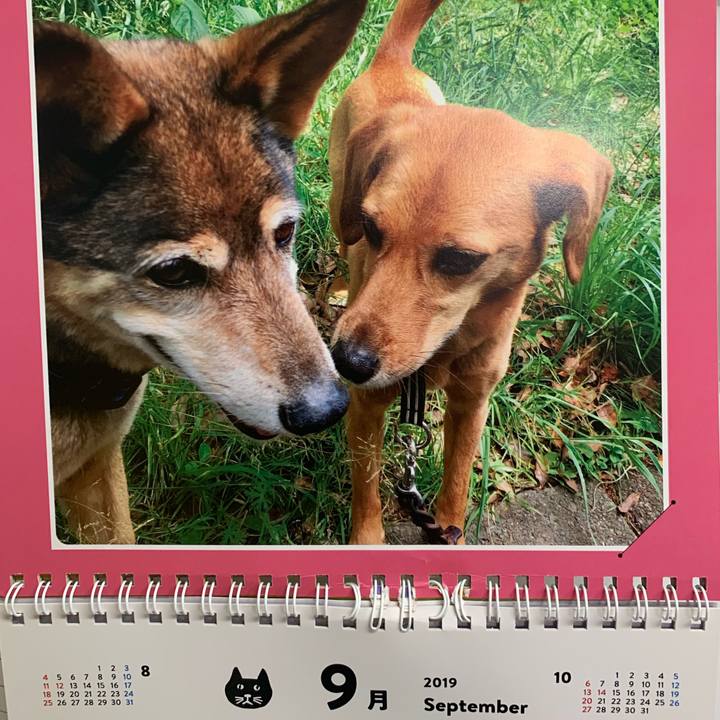 Edde39b2 ecd8 4d9c 885a b163e21fee66 1567294218508